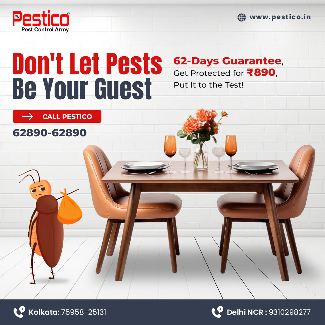 62-Day Guarantee Cockroach Control Service by Pestico - Just INR 890!