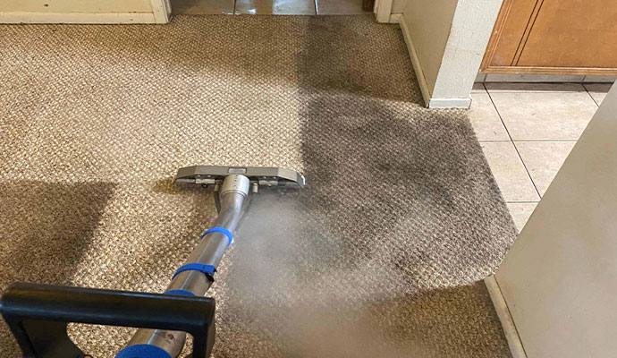 Mick’s Carpet Cleaning Brisbane