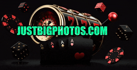 internet casino site