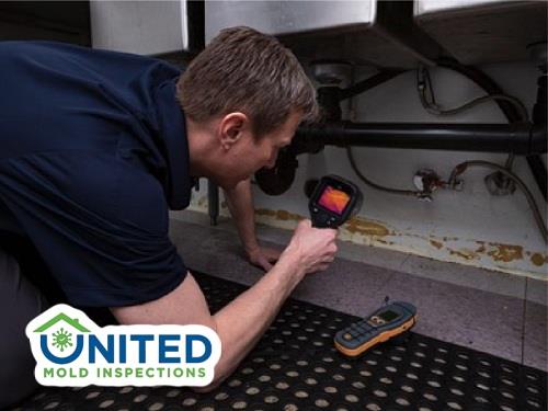 united mold inspections