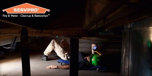 servpro of amarillo