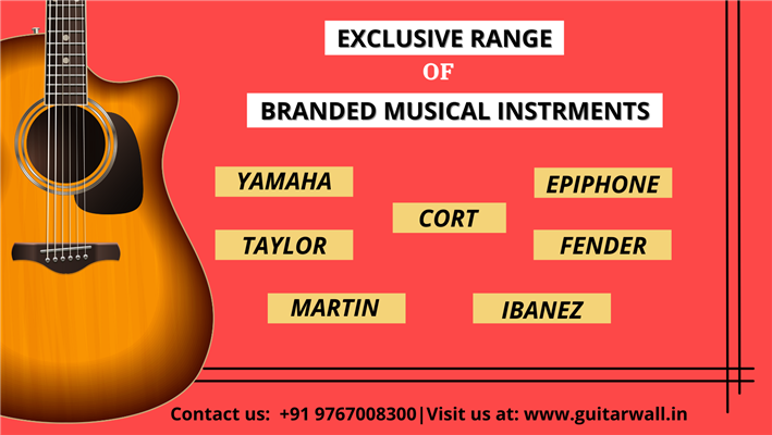 guitarwall.in pvt ltd