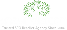 a new india seo reseller agency