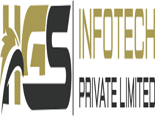 hgs infotech pvt ltd