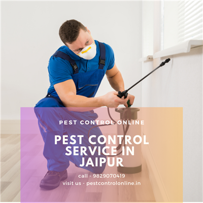 pest control online