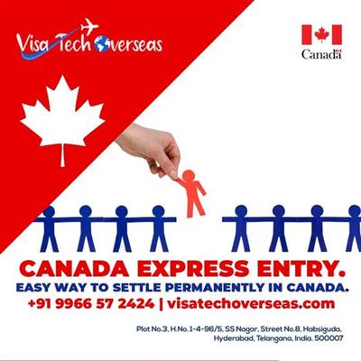 visa tech overseas