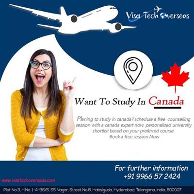 visa tech overseas