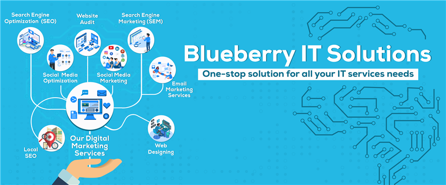 blueberry it solutions