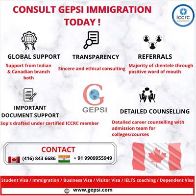 gepsi consultancy