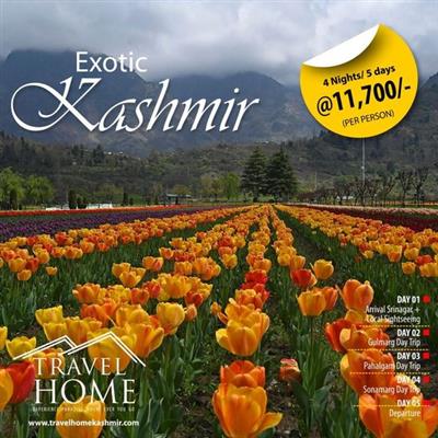 travel home kashmir