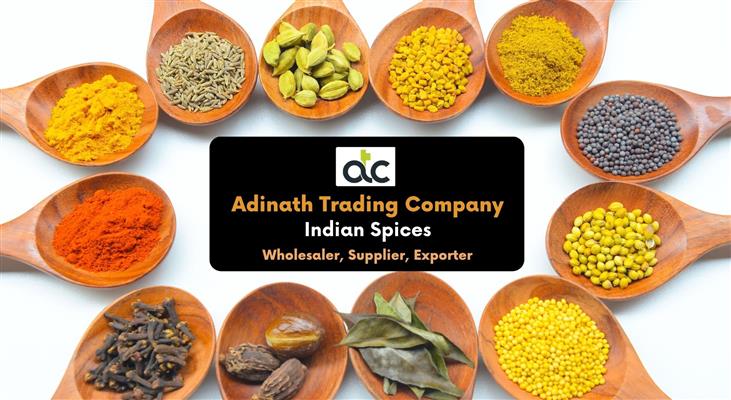 adinath trading company