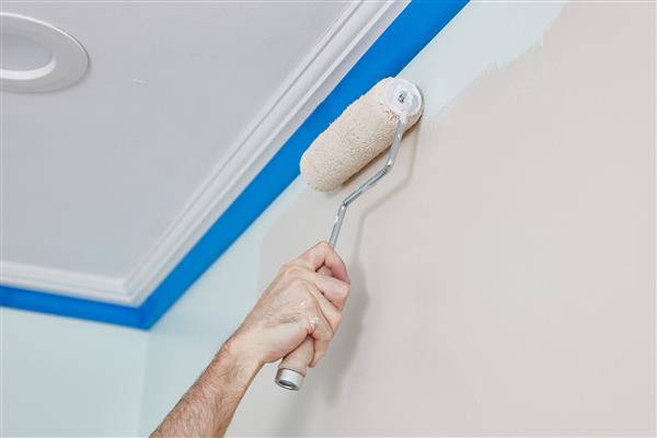 agnimitra home painting service