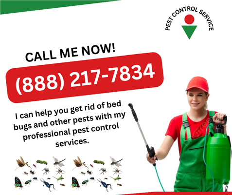 urgentt pest control