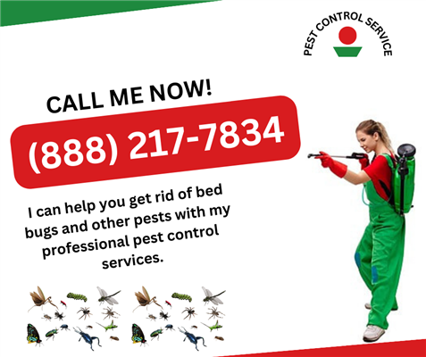 urgentt pest control