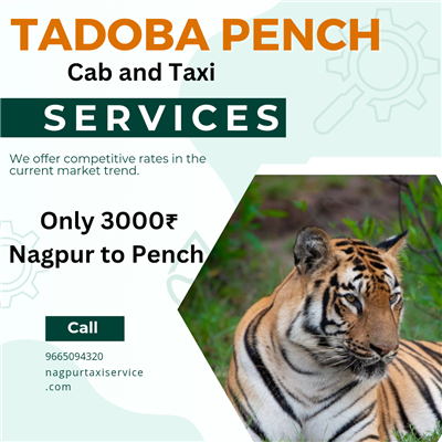 new chandu travels nagpur-tadoba pench cab/taxi service in nagpur