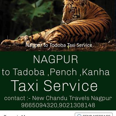 new chandu travels nagpur-tadoba pench cab/taxi service in nagpur