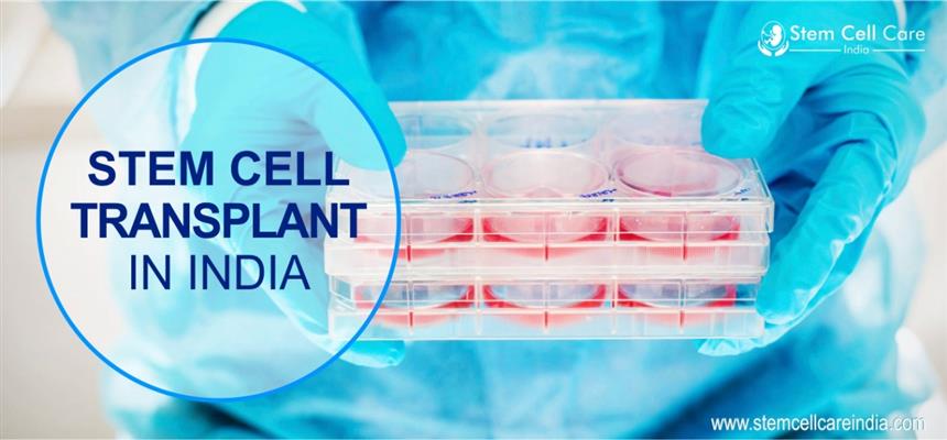 stem cell care india