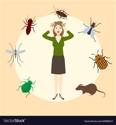 ankita pest control services