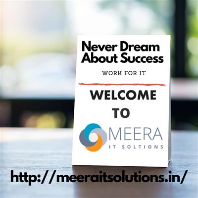 meera it solutions