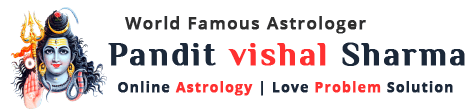 best astrologer in pune