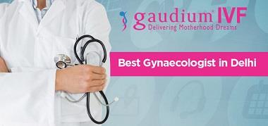 gaudium ivf centre