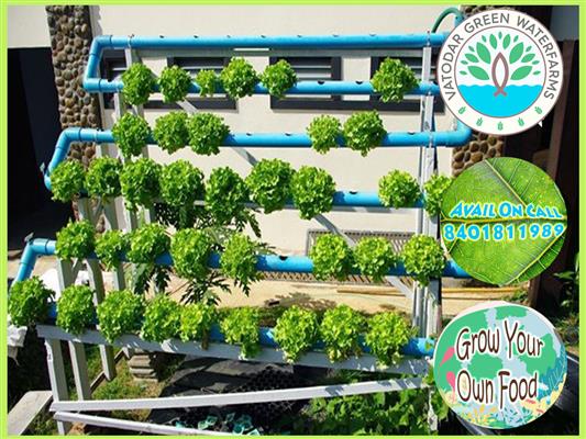 vatodar green waterfarms