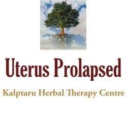 kalptaru herbal therapy centre