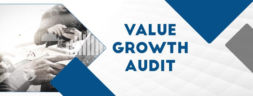 value growth audit