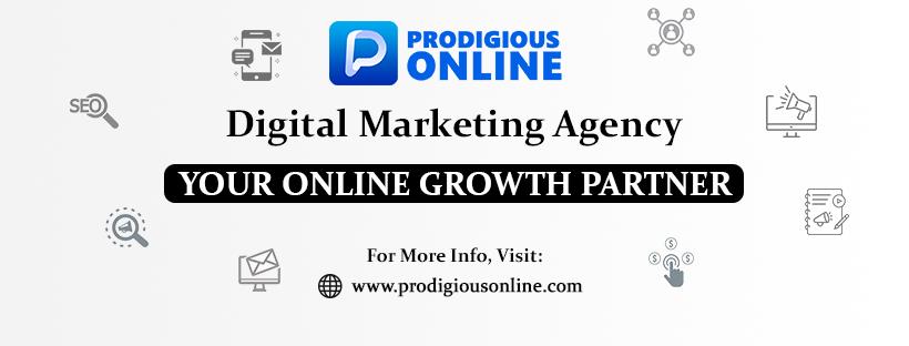 prodigious online - digital marketing agency in mohali