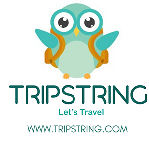 trip string goa dmc |  in new delhi