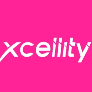 xcellity technology and group inc |  in bengaluru