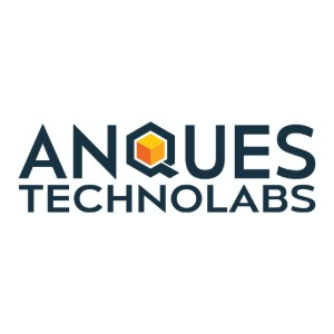 anquestechnolabs | it services in surat