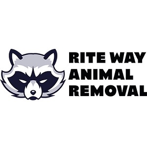 rite way animal removal | removalist in marietta ga