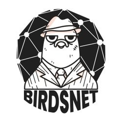 birds net | pest control in delhi ncr