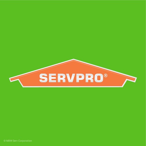 servpro of dallas love