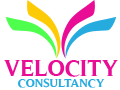 velocity consultancy | website designing in mumbai