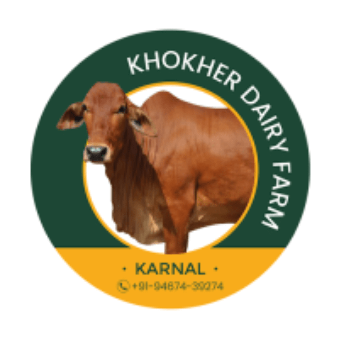khokher dairy farm | dairy in karnal
