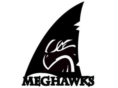 meghawks | website development in ghaziabad