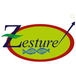 zesture healthcare | health in sidcul