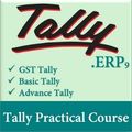tally | mis | adv. excel classes in laxmi nagar | coaching institution in delhi