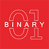 binary | shopify experts in mumbai