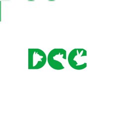 dcc animal hospital | veterinarians in gurugram