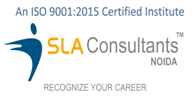 sla consultants | certified institute in noida