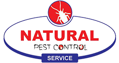 natural pest control | cleaning services in ambarnath