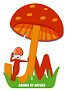jeevan mushroom | spawn (seed) in jaipur