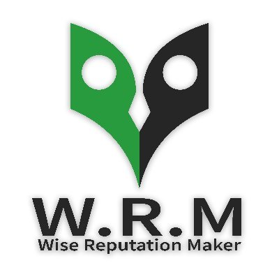 wise reputation maker pvt. ltd | digital marketing in 160055