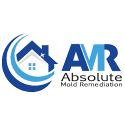 absolute mold remediation ltd. | home services in burlington