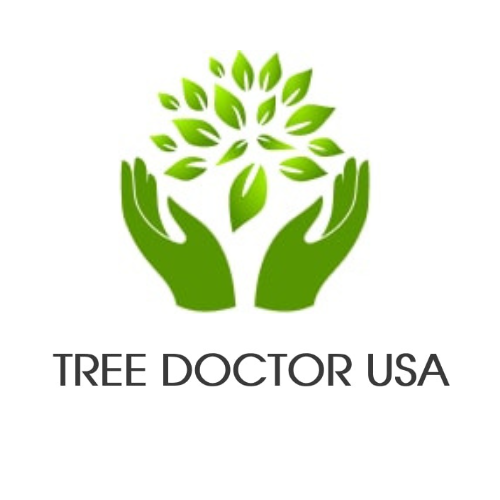 tree doctor usa | tree cutting services in temecula