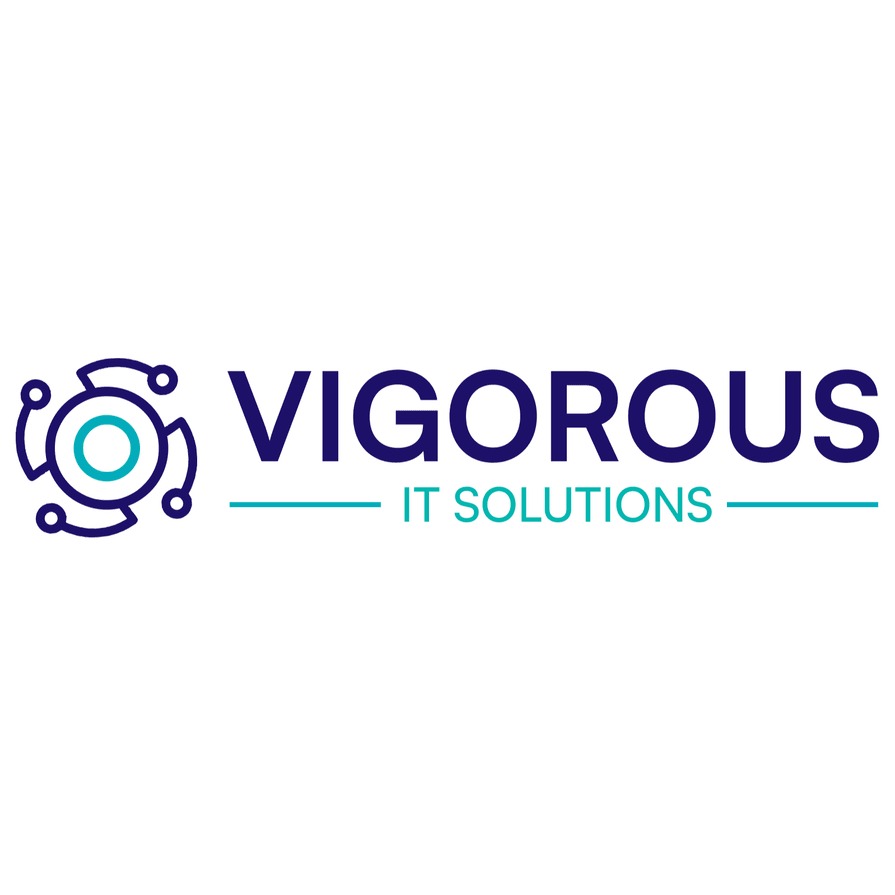 vigorous it solutions | it software in jaipur