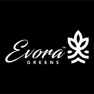 evora geens | food and beverage in delhi